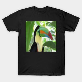 Keel billed Toucan T-Shirt